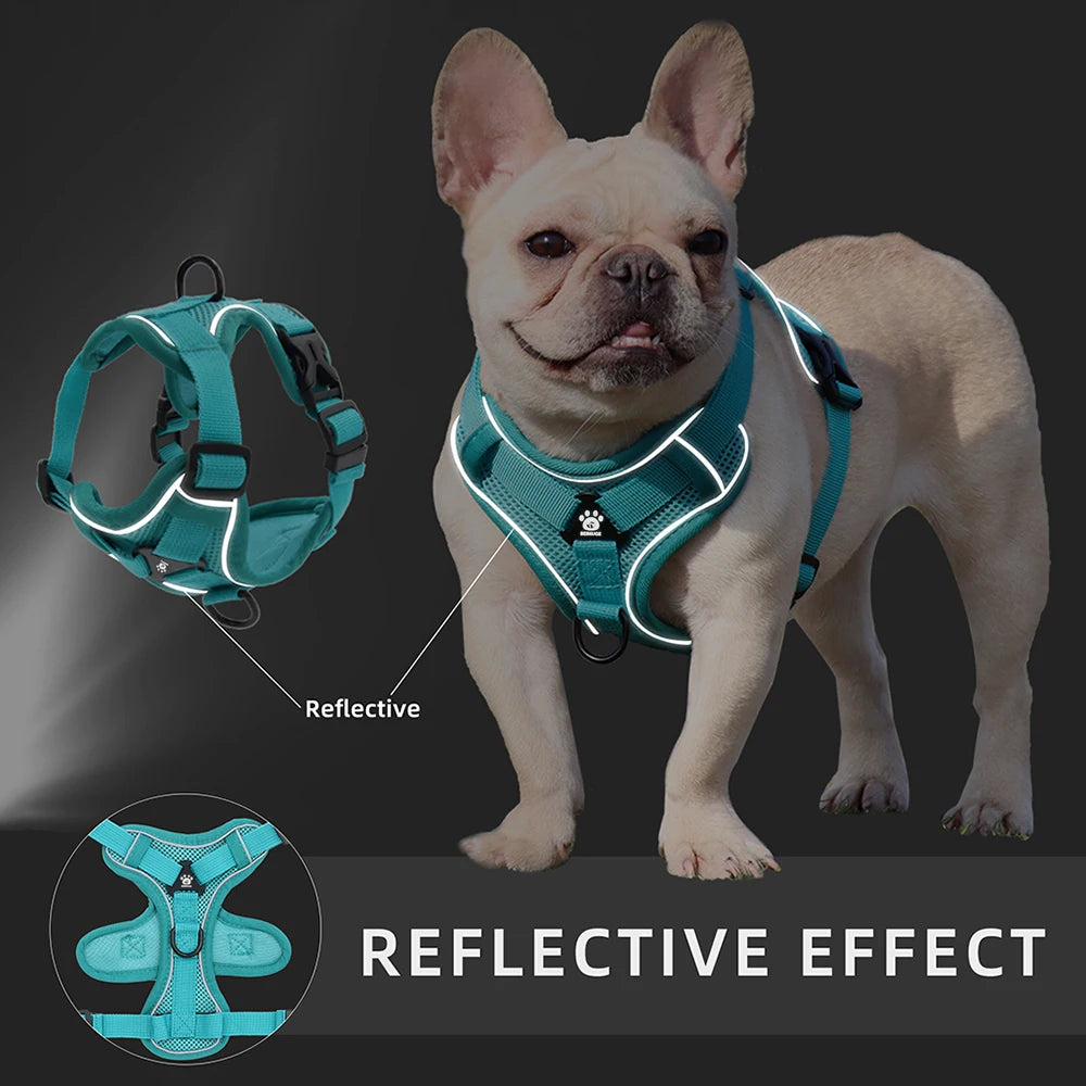 adjustable harness & leash set for small dogs - reflective, breathable