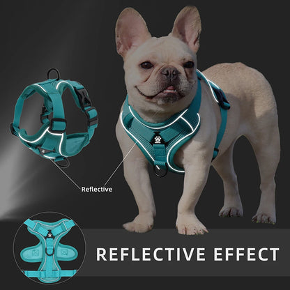 Adjustable Harness & Leash Set for Small Dogs - Reflective, Breathable