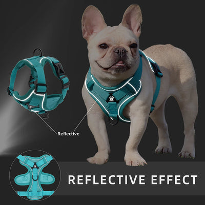 Adjustable Harness & Leash Set for Small Dogs - Reflective, Breathable