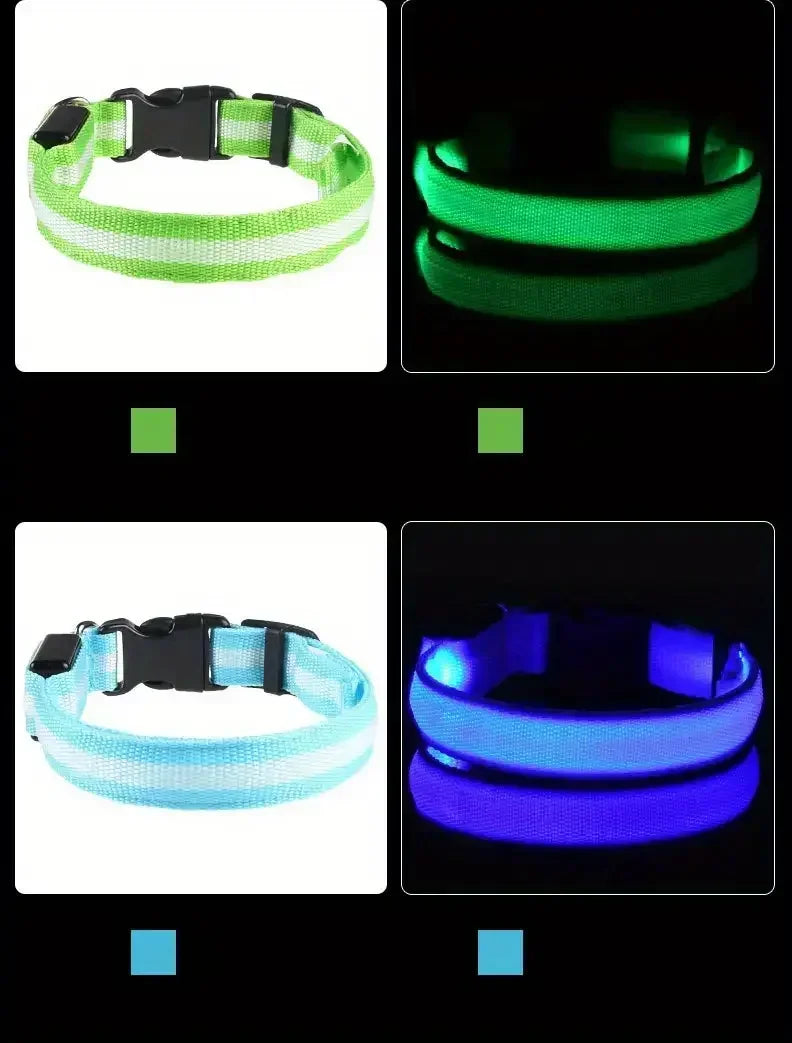 led glow dog collar - battery-powered night walking safety collar