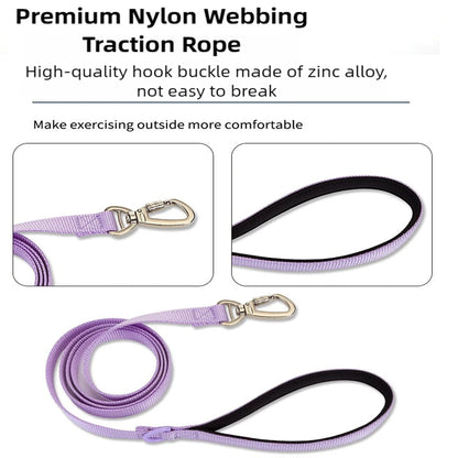 Breathable Dog Harness and Leed Set, Adjustable Vest for Daily Walks