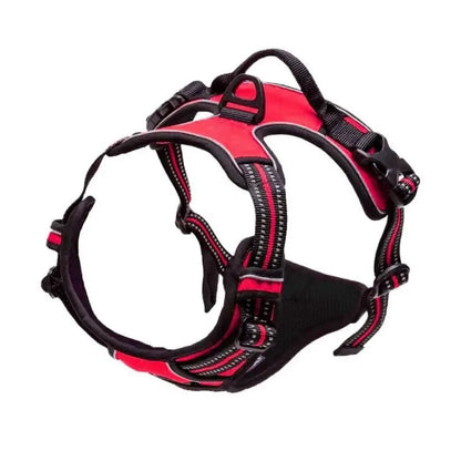 Personalized Leather-Style Dog Harness Set – Comfortable Vest