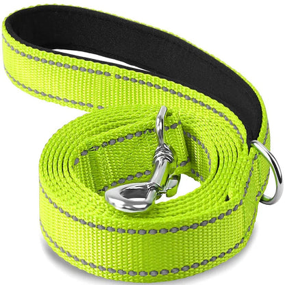 Reflective Nylon Dog Leash with Comfortable Handle for Night Walks