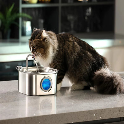 3.2L Stainless Steel Automatic Pet Water Dispenser with Visual Window