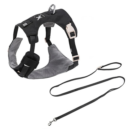 Lightweight Dog Harness & Leash Set - Anti-Pull, Escape-Proof Fit