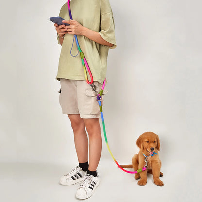 Hands-Free Reflective Nylon Dog Leash for Running and Walking Dogs