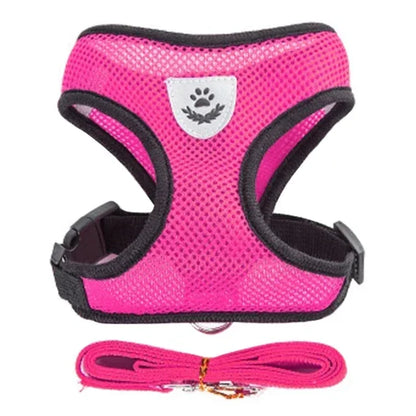 Adjustable Mesh Vest Harness & Leash - Breathable for Cats & Dogs