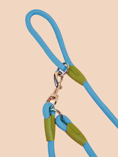 Hands-Free Reflective Nylon Dog Leash for Running and Walking Dogs