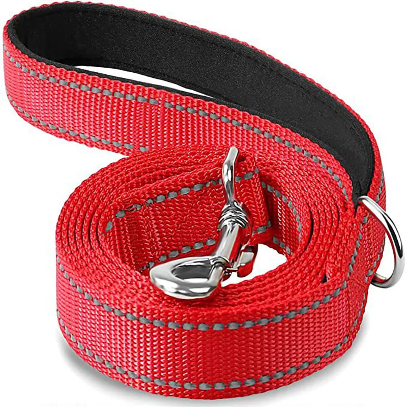 reflective nylon dog leash with comfortable handle for night walks