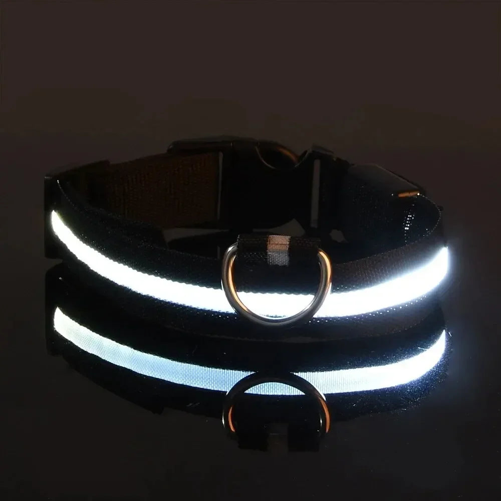 led glow dog collar - battery-powered night walking safety collar
