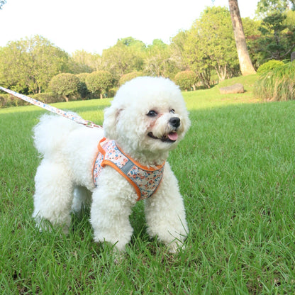 Soft Puppy Harness, Leash & Collar Set – Adjustable Pet Vest Set