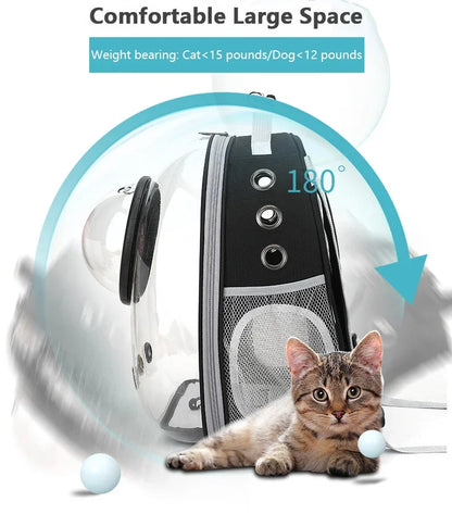 Transparent Bubble Pet Carrier Backpack for Cats & Small Dogs