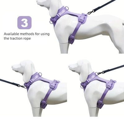 Breathable Dog Harness and Leed Set, Adjustable Vest for Daily Walks