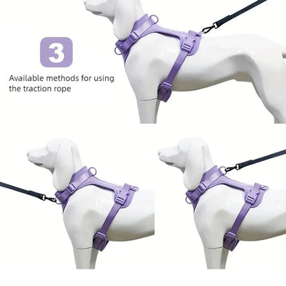 Breathable Dog Harness and Leed Set, Adjustable Vest for Daily Walks