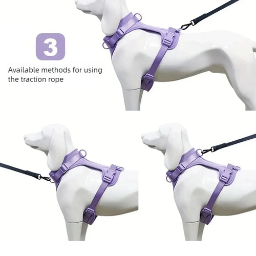 Breathable Dog Harness and Leed Set, Adjustable Vest for Daily Walks