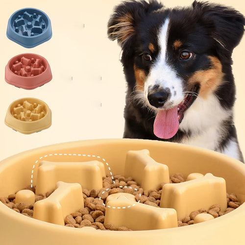 Puzzle Slow Feeder Dog Bowl – Non-Slip Anti-Choking Feeding Dish