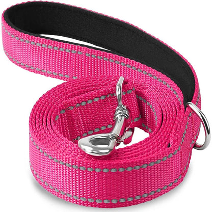 Reflective Nylon Dog Leash with Comfortable Handle for Night Walks
