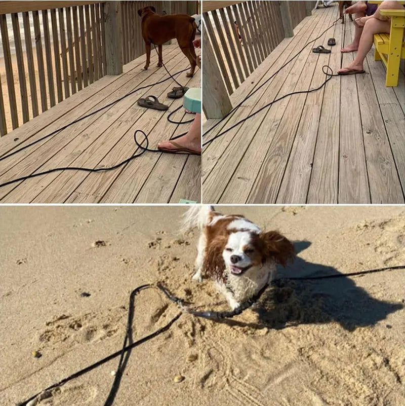 5m ~ 15m heavy duty nylon long line training leash for medium & large dogs