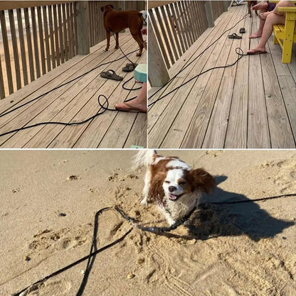 5m ~ 15m Heavy Duty Nylon Long Line Training Leash for Medium & Large Dogs