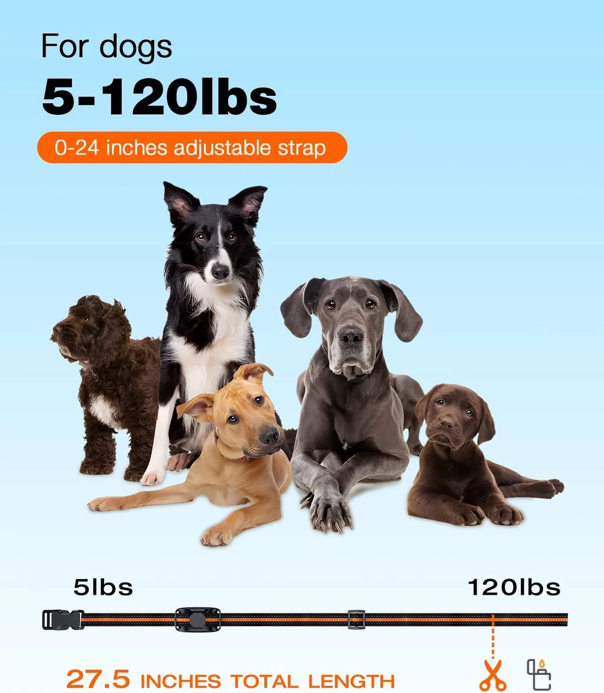 1000m emote dog training collar - ip67 waterproof, rechargeable, for 2 dogs