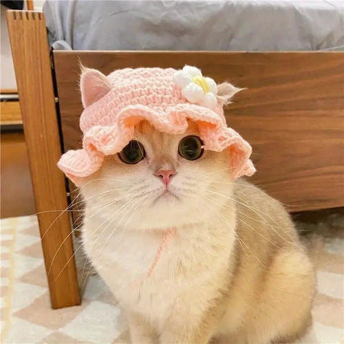 Knitted Kitten Hat – Cute Elastic Pet Hat for Photos