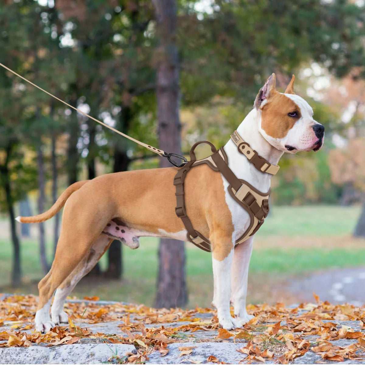 luxury chocolate no-pull dog harness for small, medium, large dogs