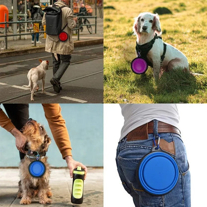 Folding Silicone Dog Bowl with Carabiner – Portable Travel Feeder