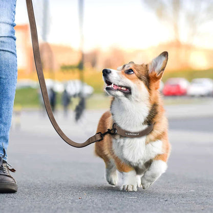 Personalized Leather Dog Collar & Leash Set - Soft, Padded, Durable