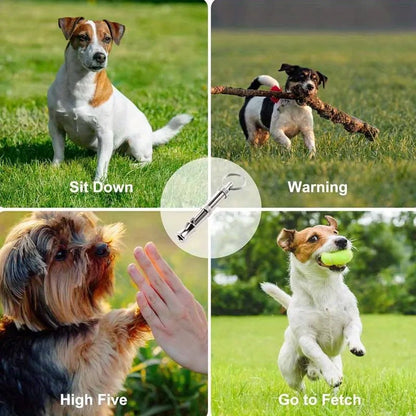 Adjustable Pitch Dog Whistle with Keychain – Training & Recall