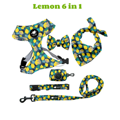 6-in-1 Dog Harness Set with Leed, Collar, Bandana & Poop Bag Holder