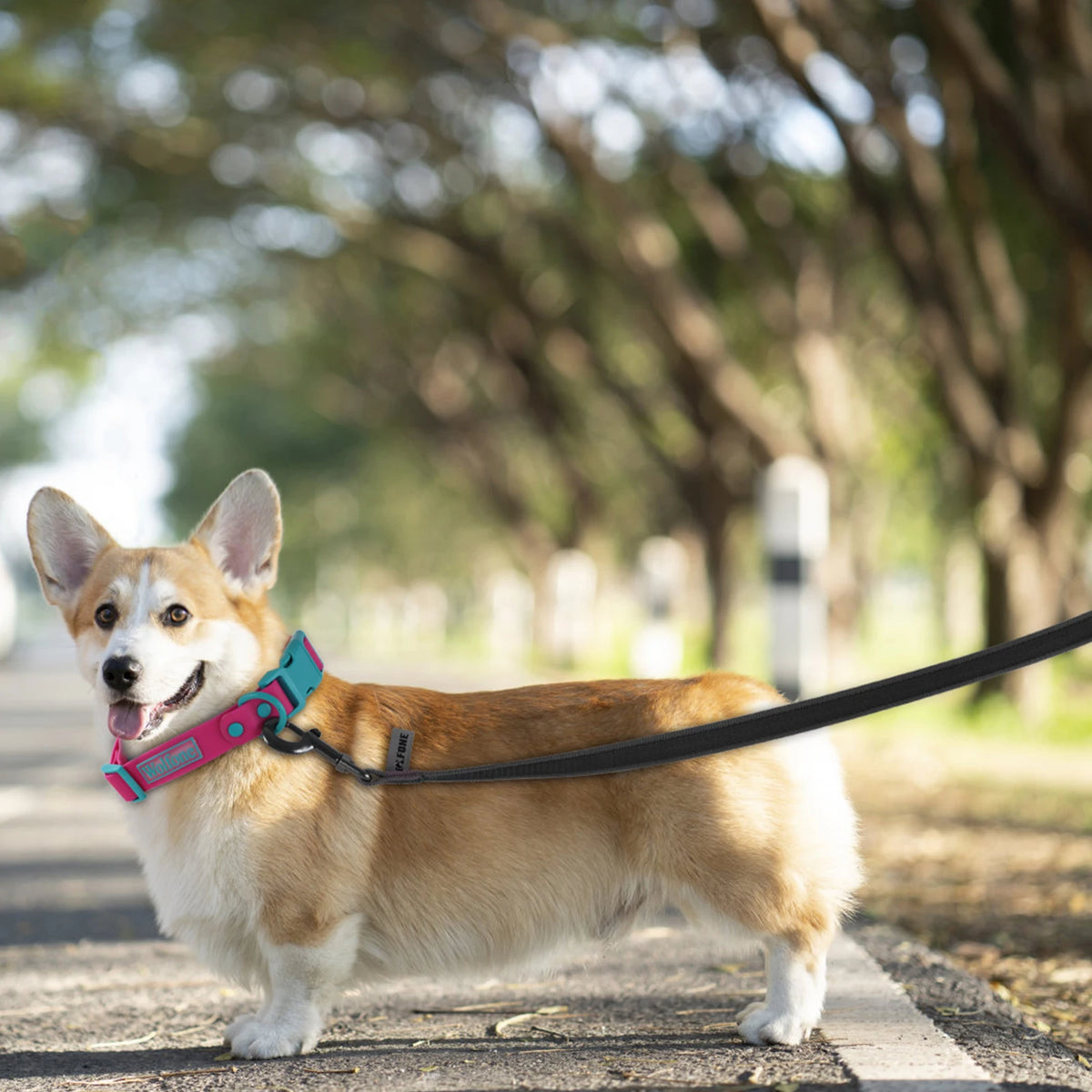 extra-long fiber dog training leash for small and large dog breeds