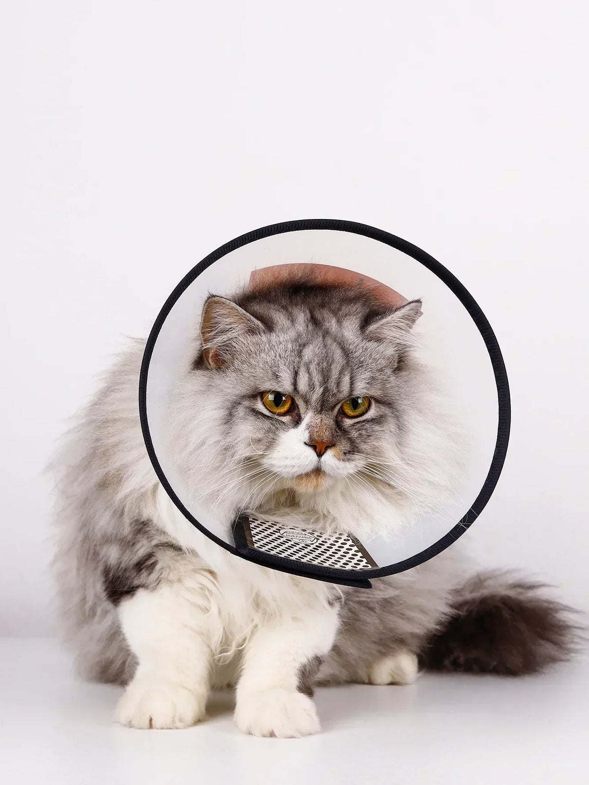 adjustable pet recovery collar after surgery - cone for cats and dogs