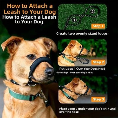 2-in-1 Adjustable Training Dog Leads with Anti-Bite Muzzle