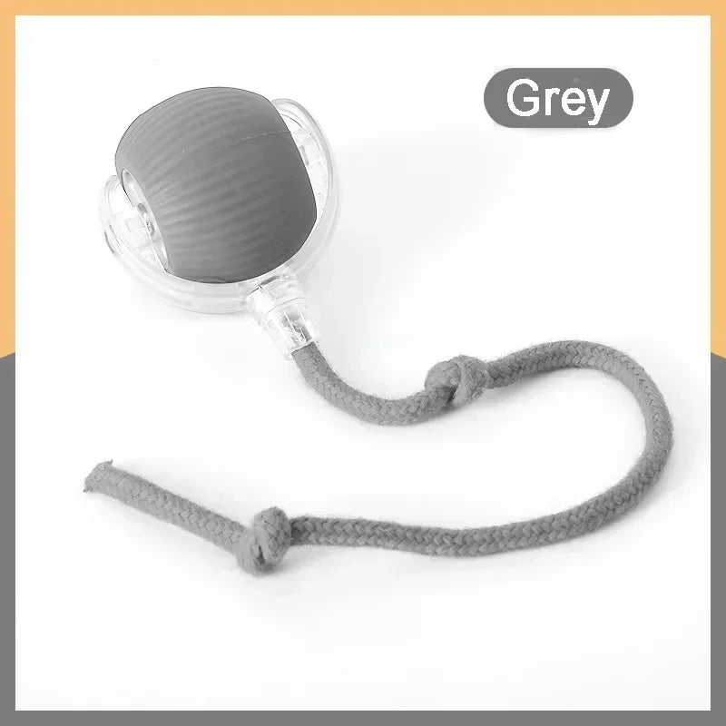 speedy tail 2.0 interactive cat ball toy with dual-speed modes