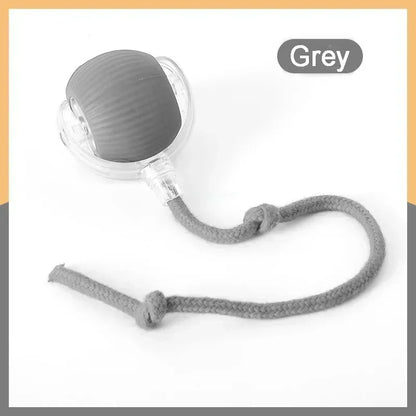 Speedy Tail 2.0 Interactive Cat Ball Toy with Dual-Speed Modes