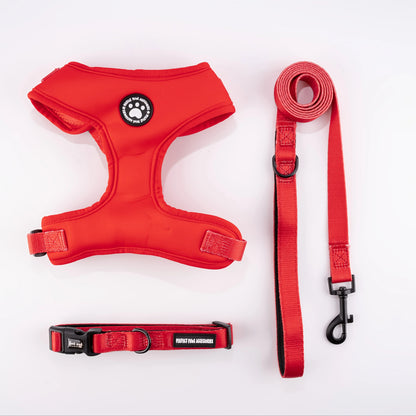 3-in-1 Adjustable Dog Harness and Leed Set with Padded Chest Vest