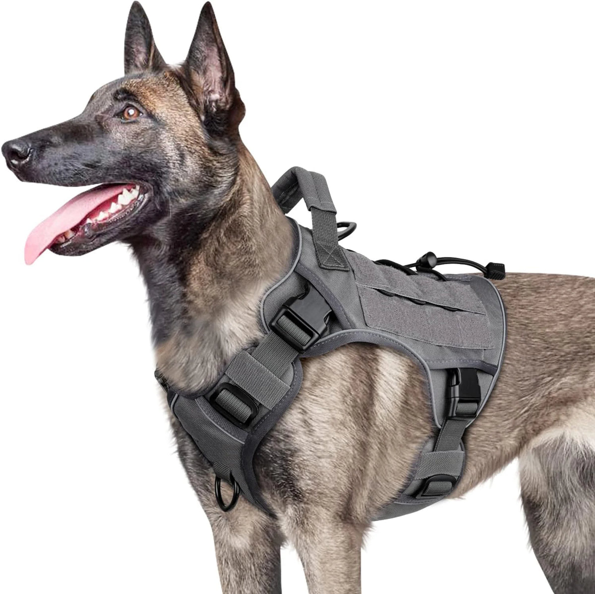 adjustable no-pull tactical dog harness with handle, reflective trim