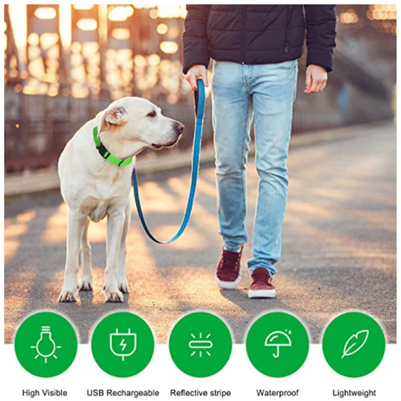 3 modes rechargeable led dog collar - adjustable night safety glow collar
