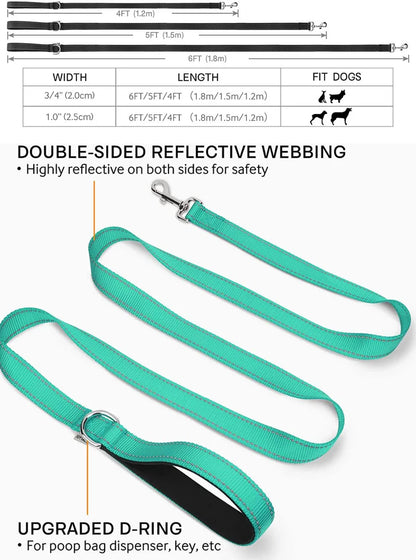 Reflective Nylon Dog Leash with Comfortable Handle for Night Walks