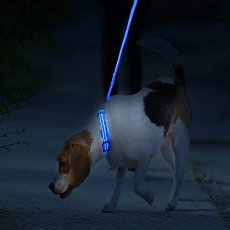3 modes rechargeable led dog collar - adjustable night safety glow collar