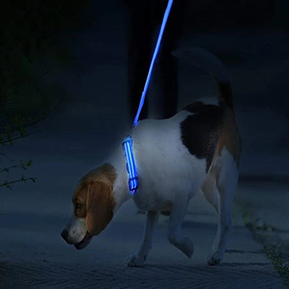 3 Modes Rechargeable LED Dog Collar - Adjustable Night Safety Glow Collar