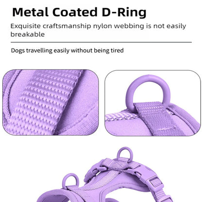 Breathable Dog Harness and Leed Set, Adjustable Vest for Daily Walks