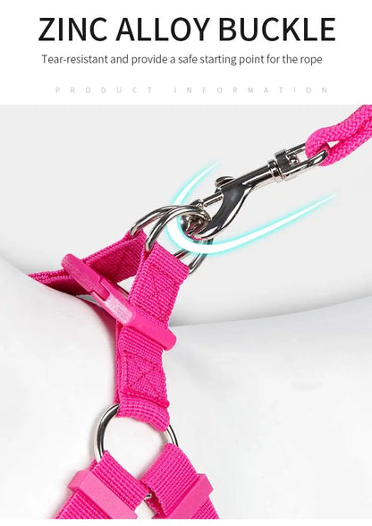 Reflective Adjustable Pet Harness & Leash Set for Small/Medium Dogs