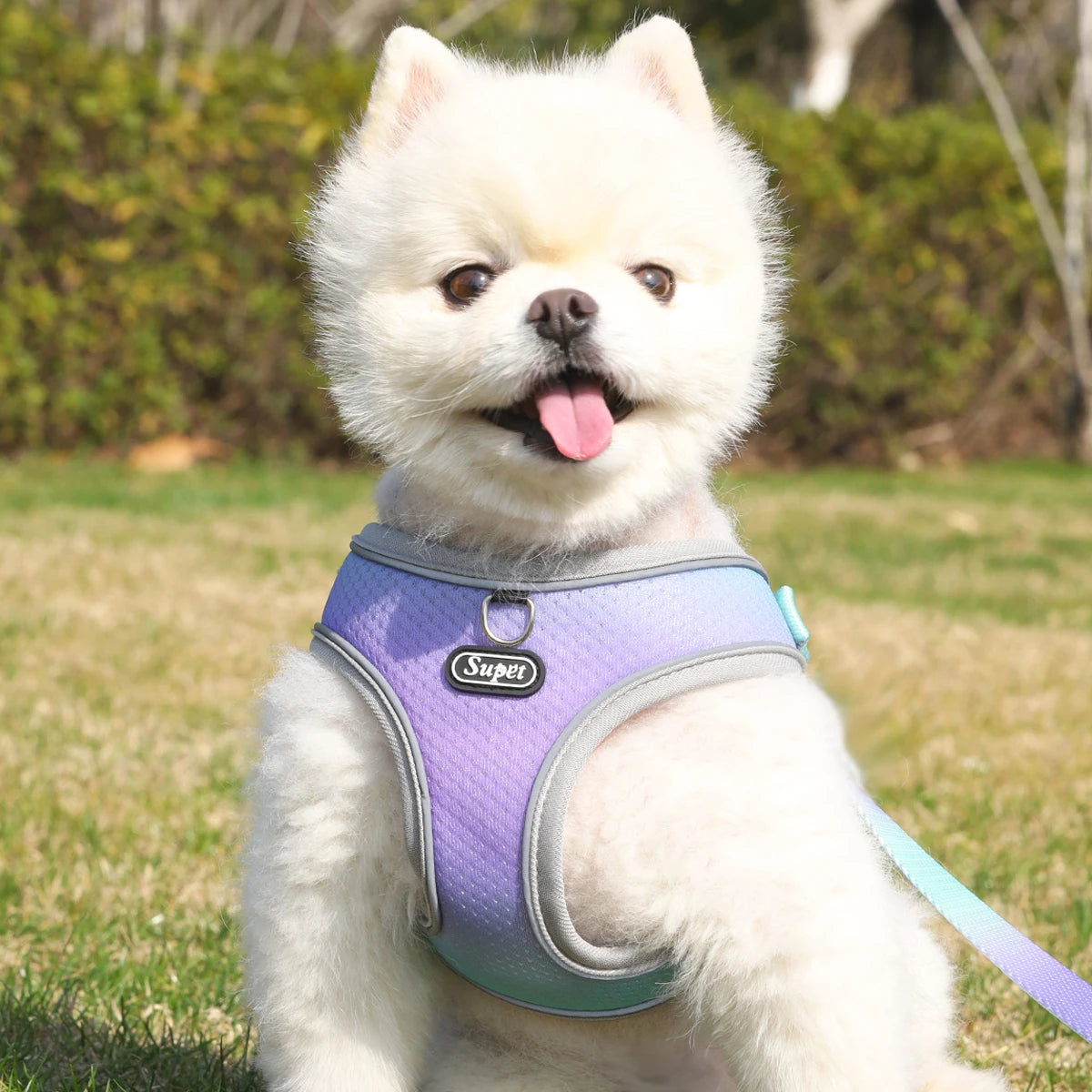 step-in dog harness with reflective, breathable design, adjustable