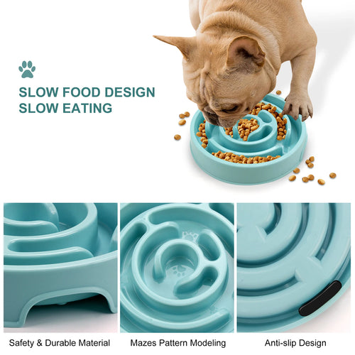 Maze Design Slow Feeder Dog Bowl – Anti-Gulping Feeding Dish