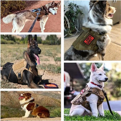 Tactical Dog Harness Set with MOLLE Pouches – Training Vest