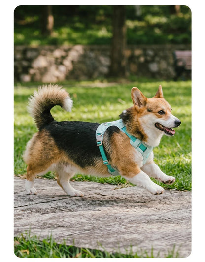 Lightweight Dog Harness & Leash Set - Anti-Pull, Escape-Proof Fit