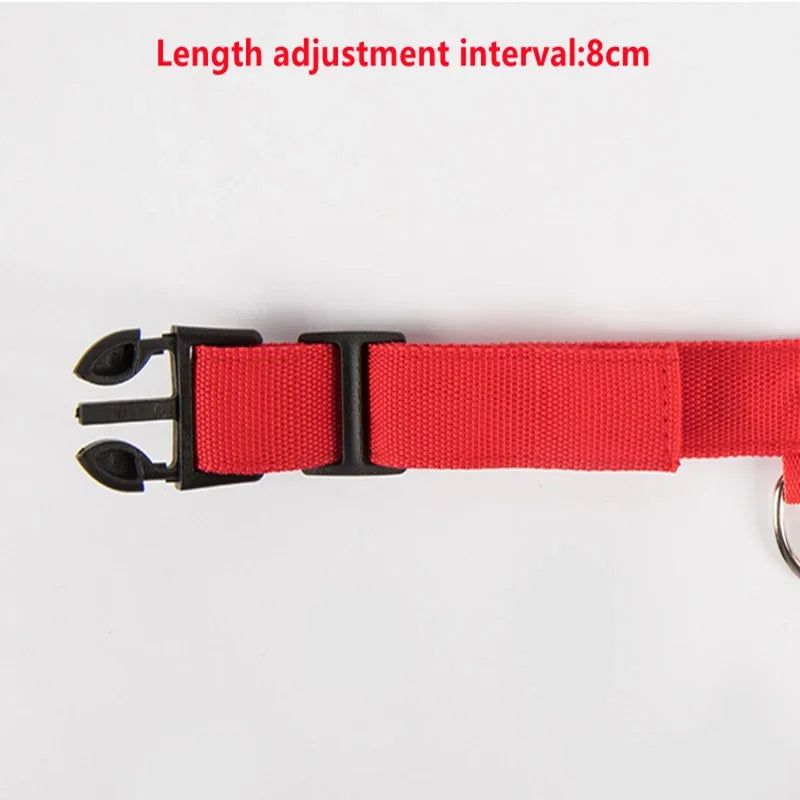3 modes rechargeable led dog collar - adjustable night safety glow collar
