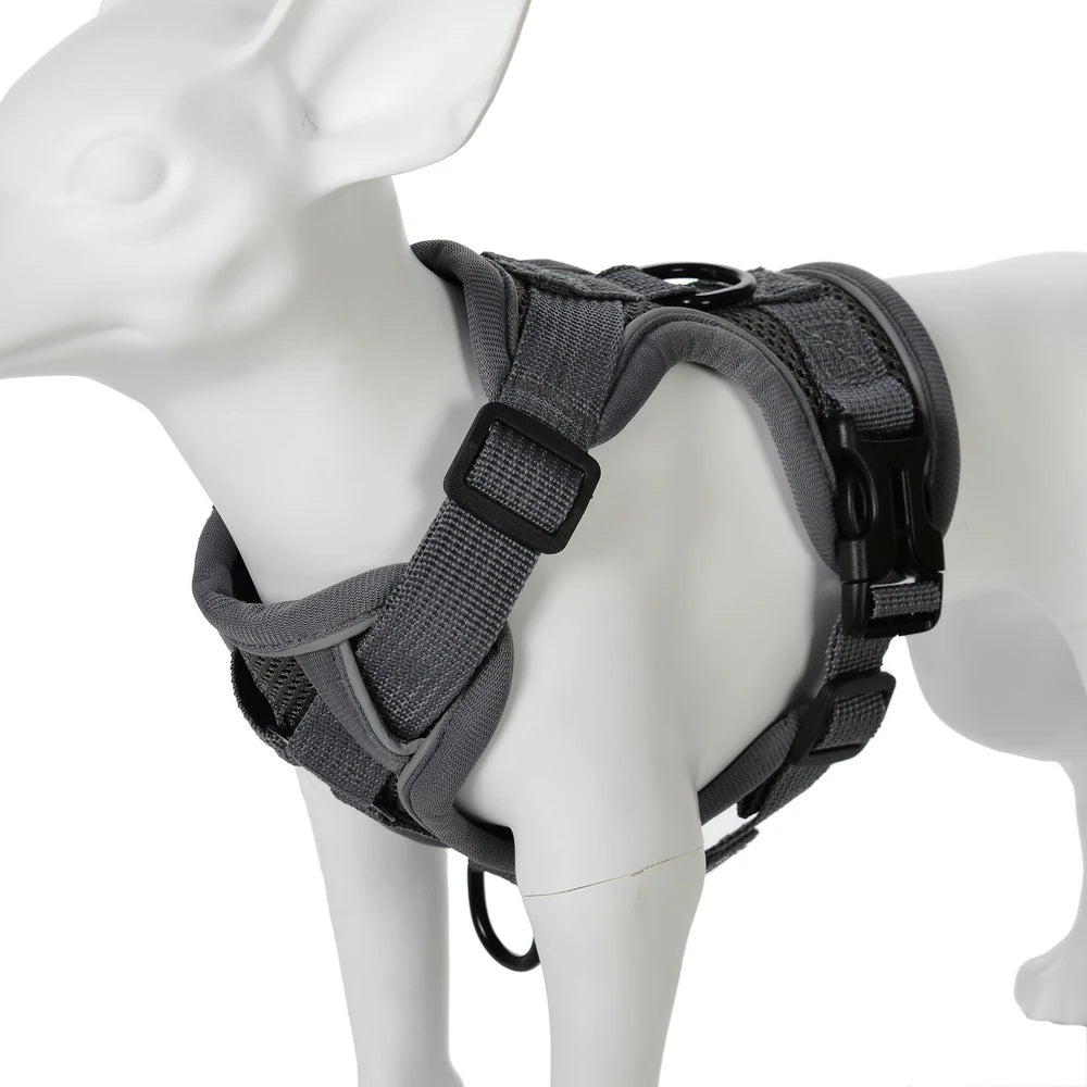 adjustable harness & leash set for small dogs - reflective, breathable