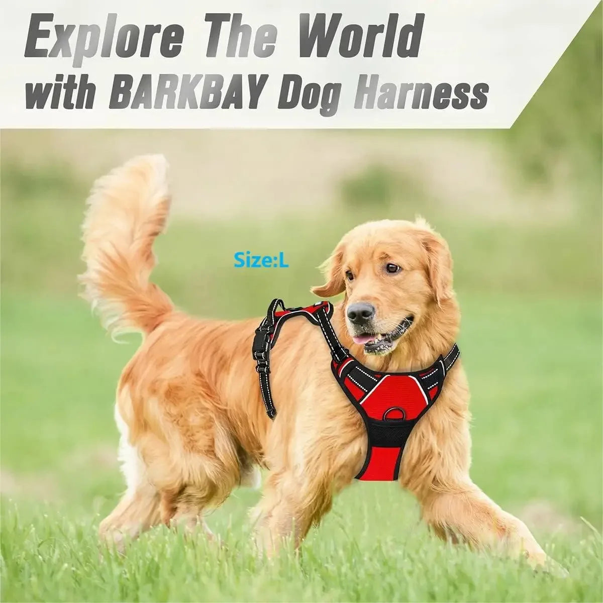 personalized leather-style dog harness set – comfortable vest